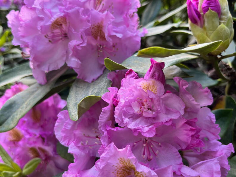 23-06-03 16-42-39 5792